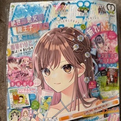 雑誌