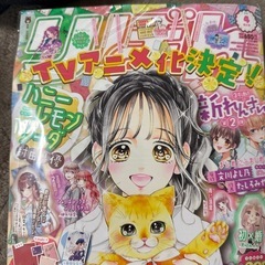 雑誌