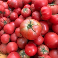 野菜　トマト【訳あり】11の画像