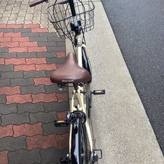 🚴 マルイシ　ロキシー20インチの画像
