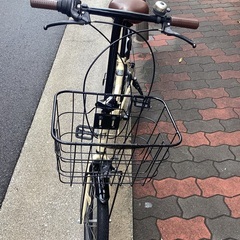 🚴 マルイシ　ロキシー20インチの画像