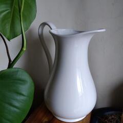 花瓶　水差し型の画像