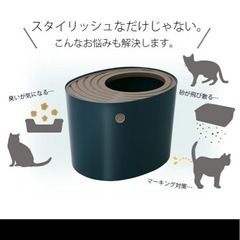 上から猫トイレの画像