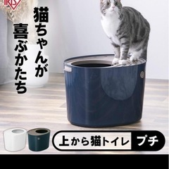 上から猫トイレ