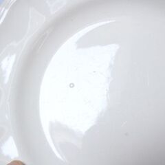 フランス アンティーク サルグミンヌ エクリュカラー 花形リムの画像