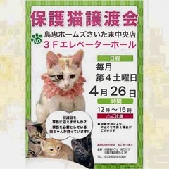 4/26（土）島忠ホームズさいたま中央店保護猫譲渡会