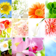 限定2名　🌷名前と誕生日に隠された “わたしらしさ”を知る時間、...