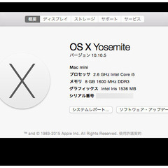 Mac mini + Apple純正キーボード＆マウス + Apple Cinema HD Display(ディスプレイのみジャンク) 中古品の画像