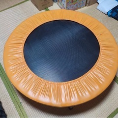 トランポリン　室内用　運動　耐荷重110kg　