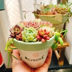 ✨SALE✨ No.60 3.5号リメイク鉢植木鉢ハンドメイドの画像