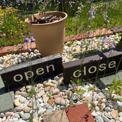 🟥値下げ🟥open &close #雑貨屋さん#カフェ#の画像