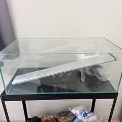 新品 天切り青石（中サイズ）販売｜庭石・景石・ベンチにも◎｜設置