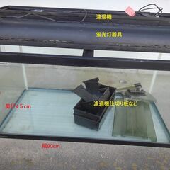 90cmの水槽セットです