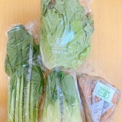 【決まりました】お野菜お譲りいたします。の画像