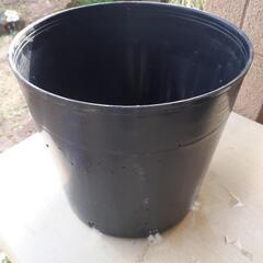 植物鉢　9号　