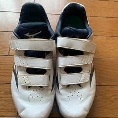 ミズノ　トレーニングシューズ　25.5センチ