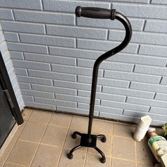 4点杖