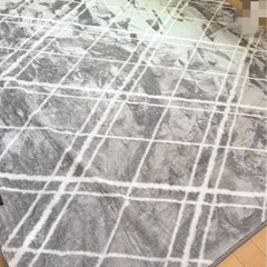 【決まりました】カーペット