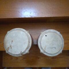 ボンゴ　の画像