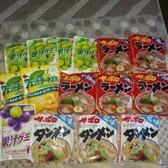一人決まりました❗ラスト１セット❗計15食❗果汁グミ、フィットチ...