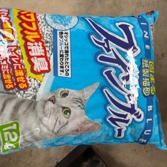 猫トイレの画像