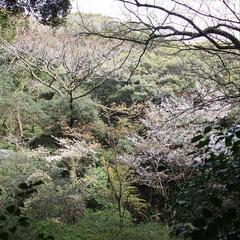 ハイキングは好きですか？ - メンバー募集