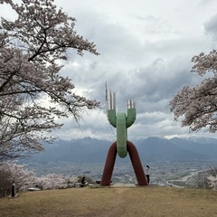 春の花を見つけに里山に登ってみよう