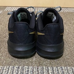 NIKE ナイキ Zoom ズーム EVIDENCE Ⅱ エビデンス 2 バスケットシューズ バッシュ ローカット ブラック 25cm 25.0の画像