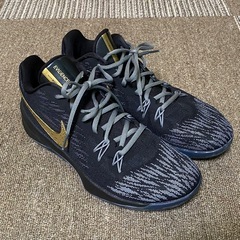 NIKE ナイキ Zoom ズーム EVIDENCE Ⅱ エビデンス 2 バスケットシューズ バッシュ ローカット ブラック 25cm 25.0の画像