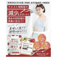 【2袋】未開封 カロリンピュア 30日分×2 肥満気味の方の体重 体脂肪の減少を助けるの画像