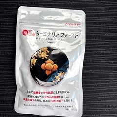 新品ターミナリアファースト