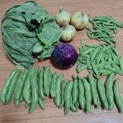 たっぷりお野菜６点