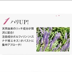 バストケアクリームの画像