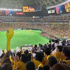 野球観戦仲間 募集 - 福岡市