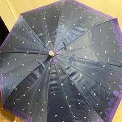 女の子用傘猫柄多分55cmの画像