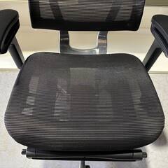 最高級 COFO Chair Premium コフォ ワークチェア、オフィスチェア、Used/美品の画像