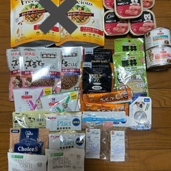 ドックフード　ご飯　犬