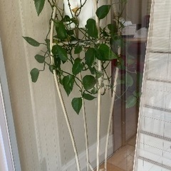 観葉植物　フラワースタンド