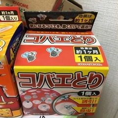 コバエとり　小蝿ホイホイ　虫対策　4個纏めの画像