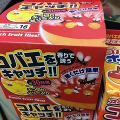 コバエとり　小蝿ホイホイ　虫対策　4個纏めの画像