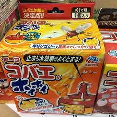 コバエとり　小蝿ホイホイ　虫対策　4個纏めの画像