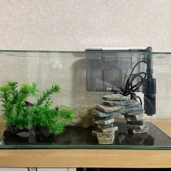 水槽(45*20*22cm) と水槽用オブジェ3つ