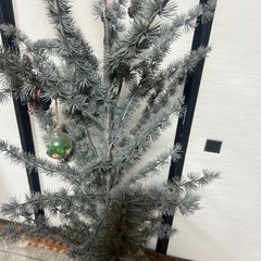 家の装飾用のプラスチック製のツリーです。の画像