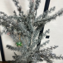 家の装飾用のプラスチック製のツリーです。の画像