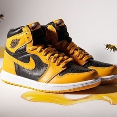 Nike Air Jordan 1 High OG "Pollen" 