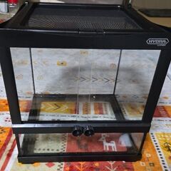 HYDRA　飼育ケース　30cm　欠け部分あり