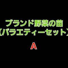 No.119【苗】家庭菜園等にお薦め‼️①ブランド野菜の苗【バラ...