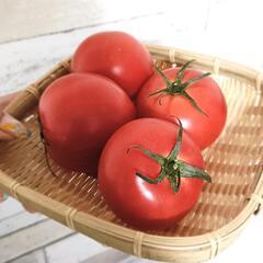 中玉トマト🍅4玉