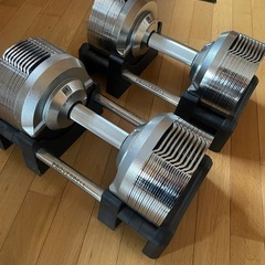 プロバーベルアジャスタブル32.5キロ×2