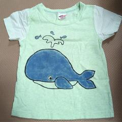キッズTシャツ  くじら　100